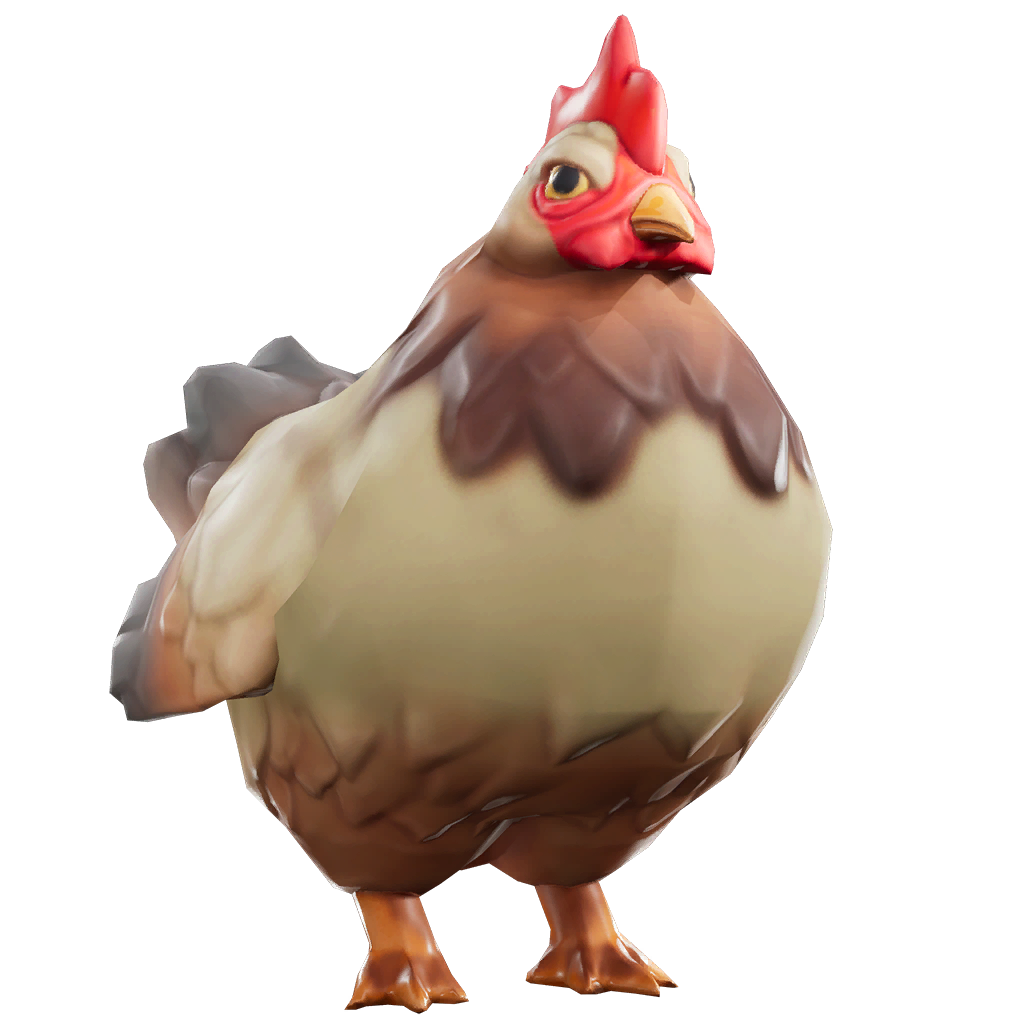 Chicken